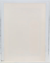 Load image into Gallery viewer, Star Wars 1985 Vintage Kenner POTF EV-9D9 Cromalin Proof AFA 80