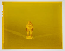 Load image into Gallery viewer, Tie Pilot Micro 4x5 Negative D